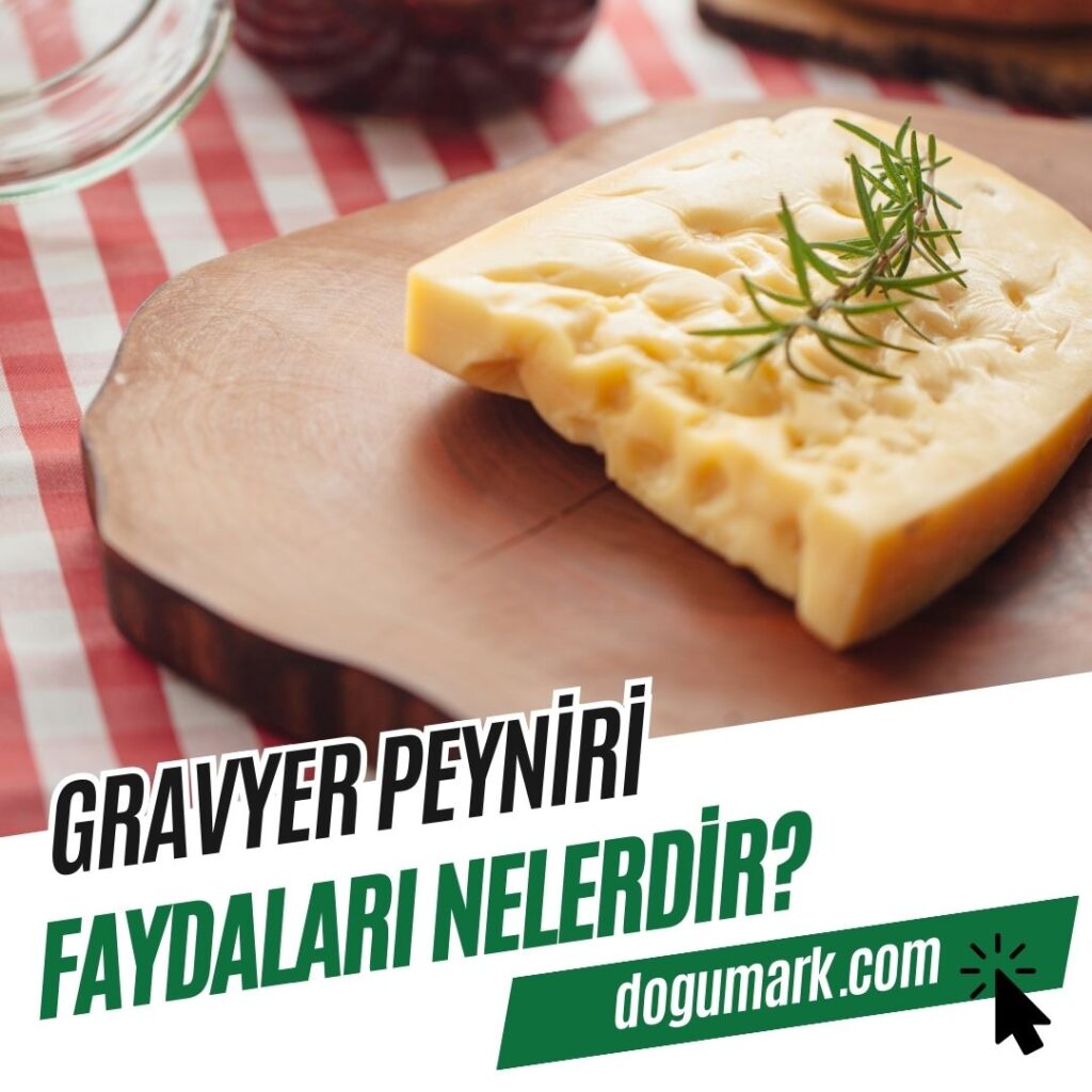 Gravyer Peyniri Faydaları Nelerdir