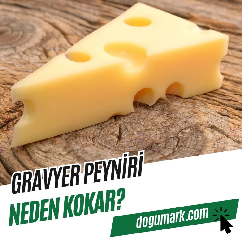 Gravyer Peyniri Neden Kokar