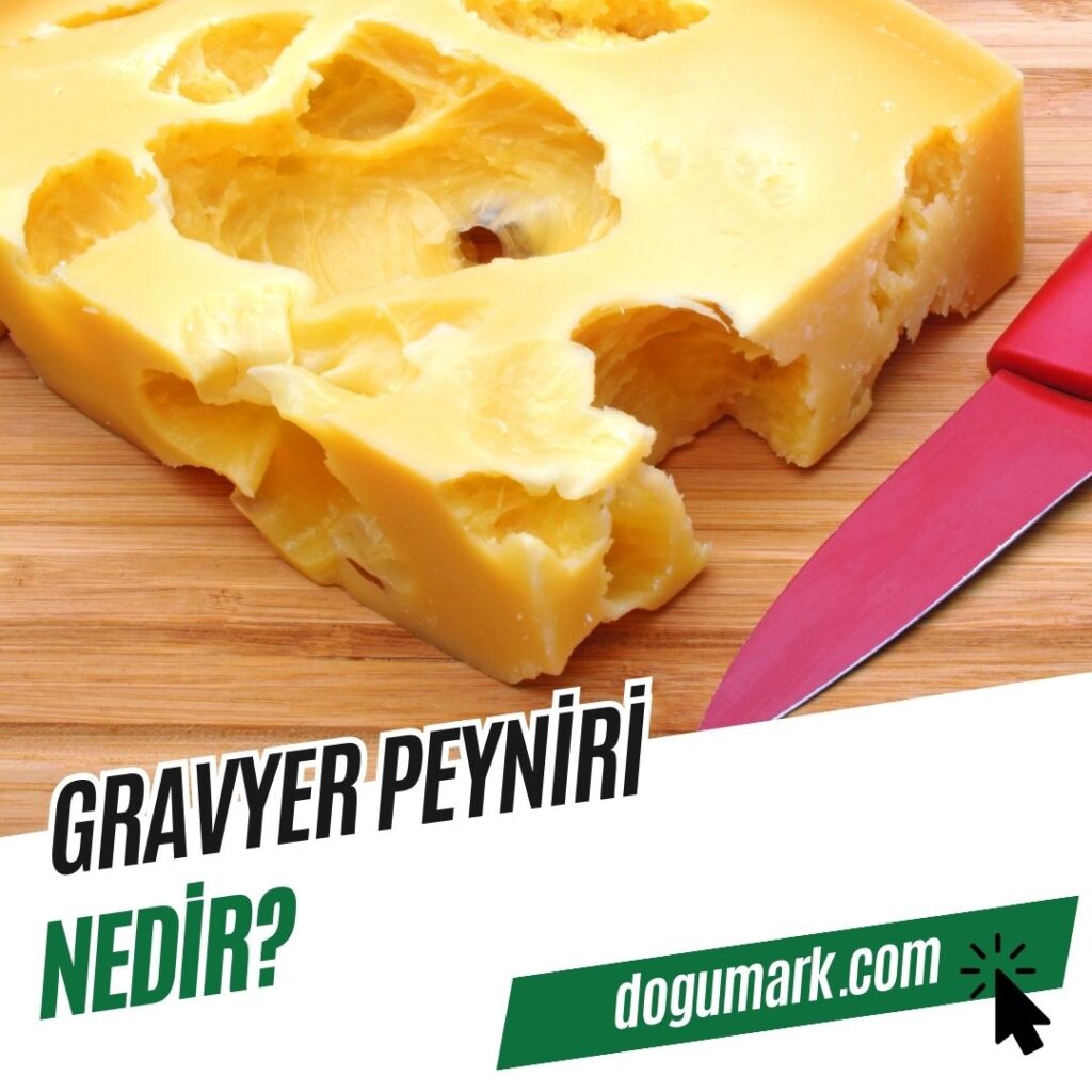 Gravyer Peyniri Nedir