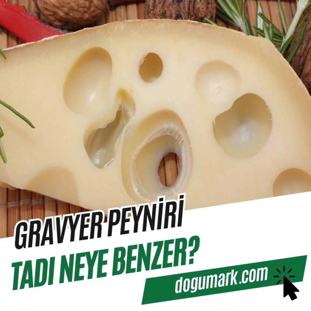 Gravyer Peyniri Tadı Neye Benzer