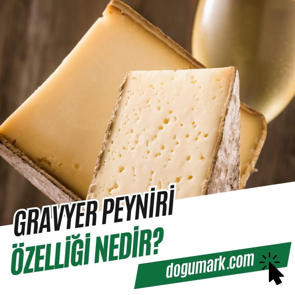 Gravyer Peynirin Özelliği Nedir