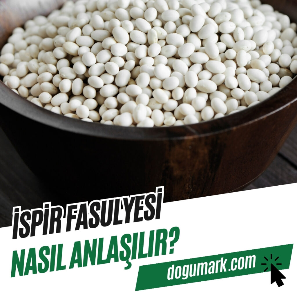 İspir Fasulyesi Nasıl Anlaşılır