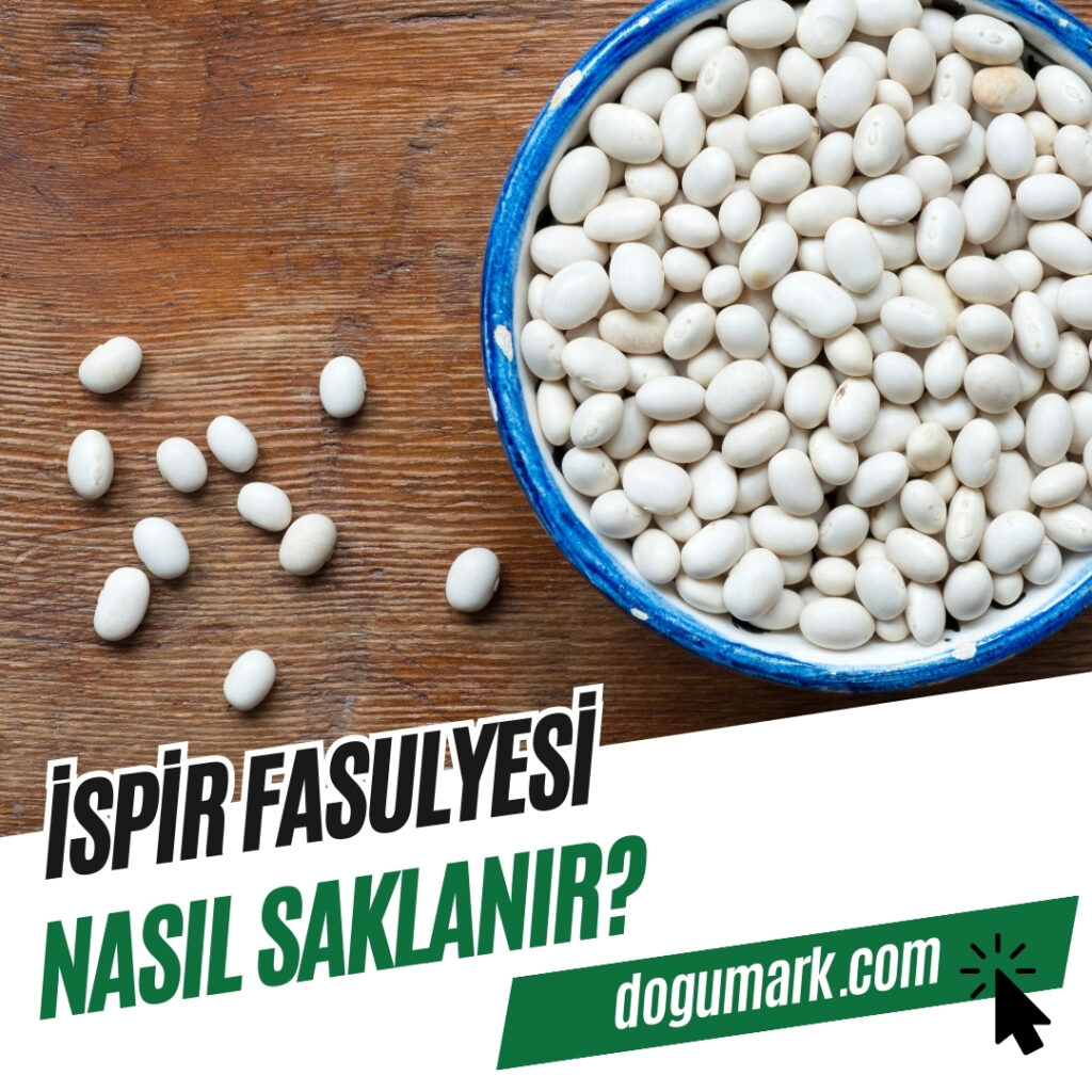 İspir Fasulyesi Nasıl Saklanır