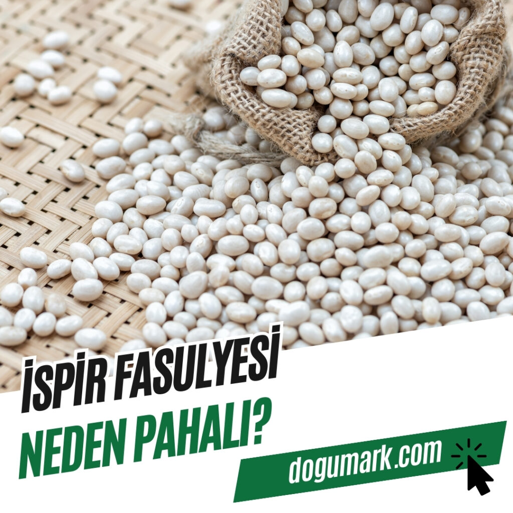İspir Fasulyesi Neden Pahalı