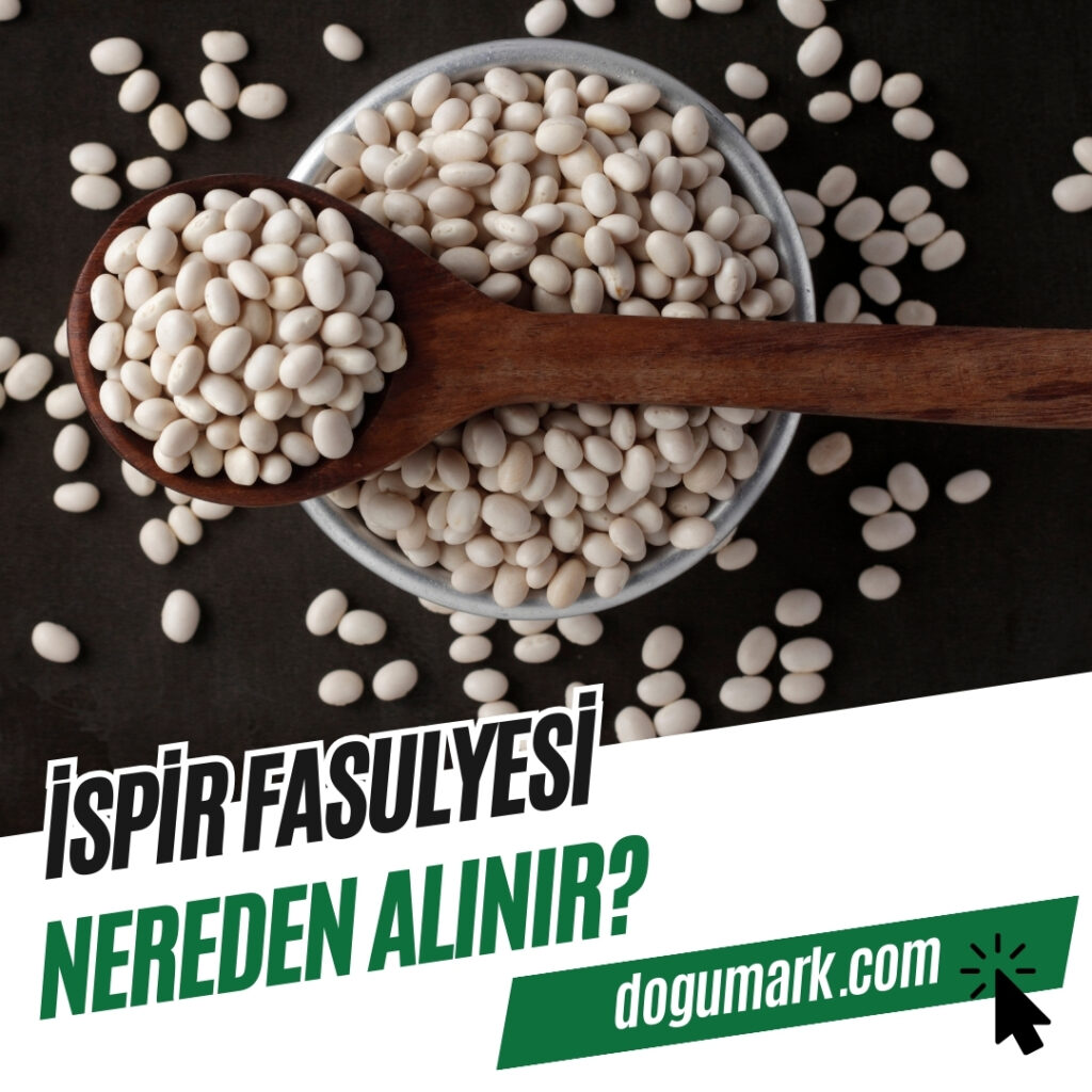 İspir Fasulyesi Nereden Alınır