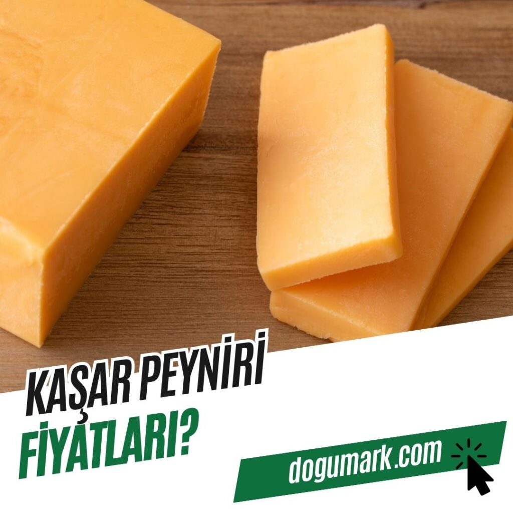 Kaşar Peyniri Fiyatları