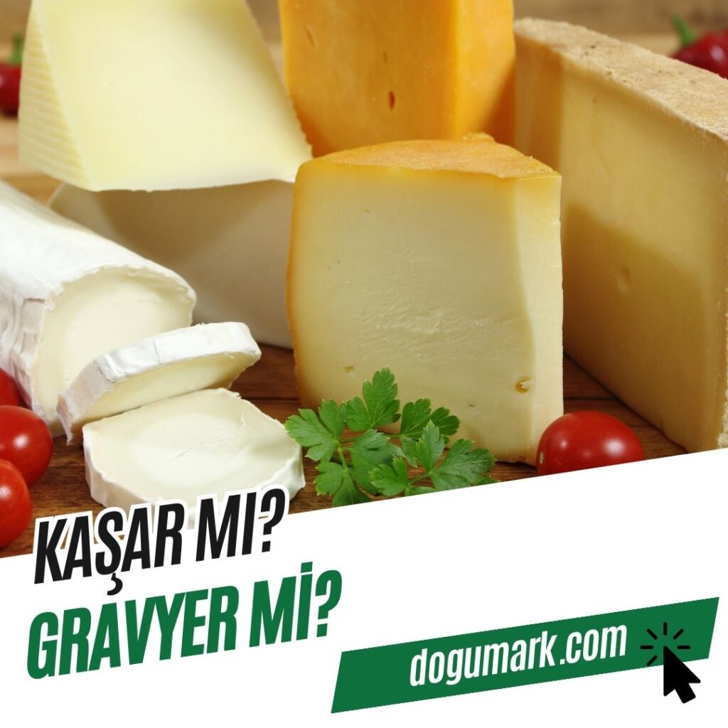 Kaşar mı Gravyer mi