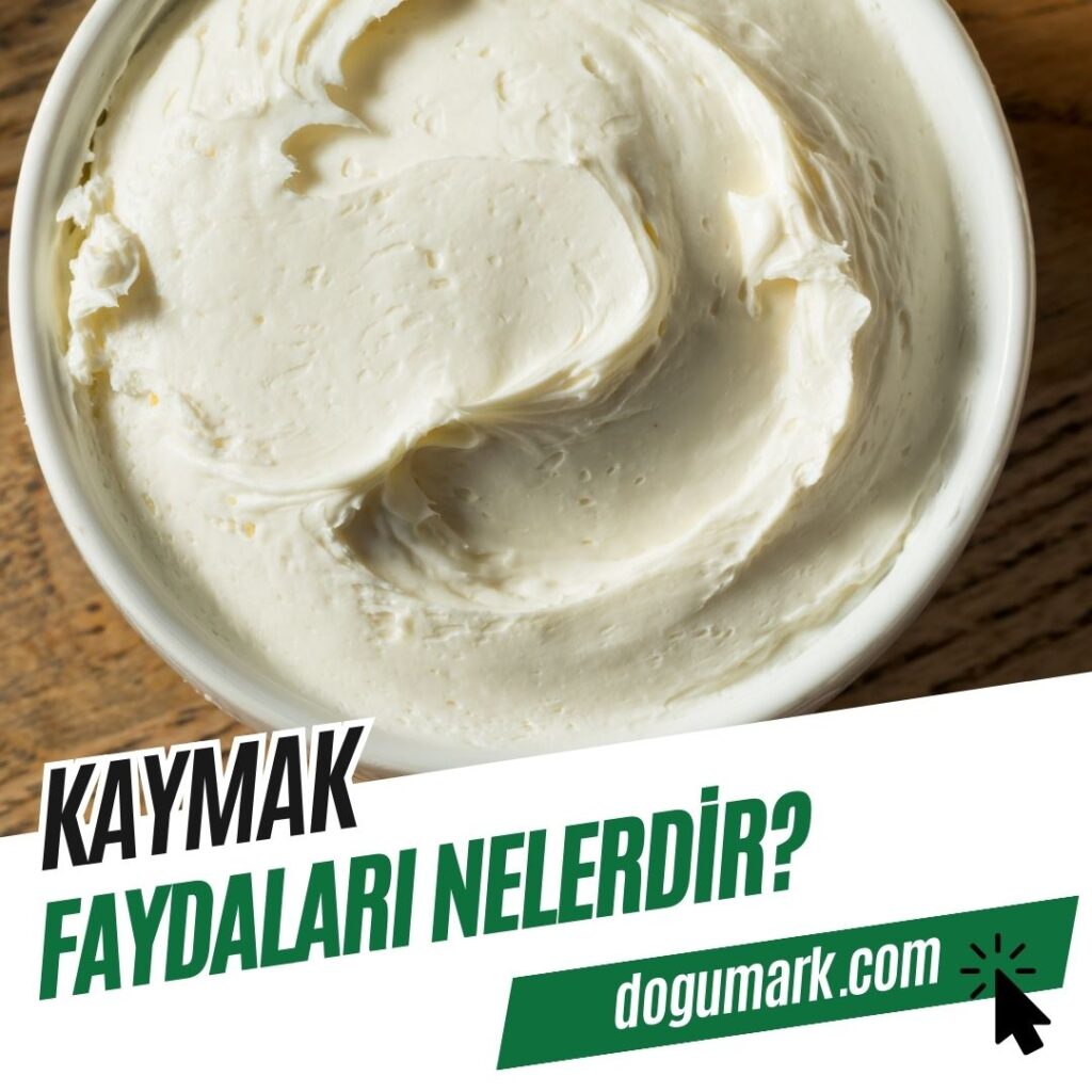 Kaymak Faydaları Nelerdir