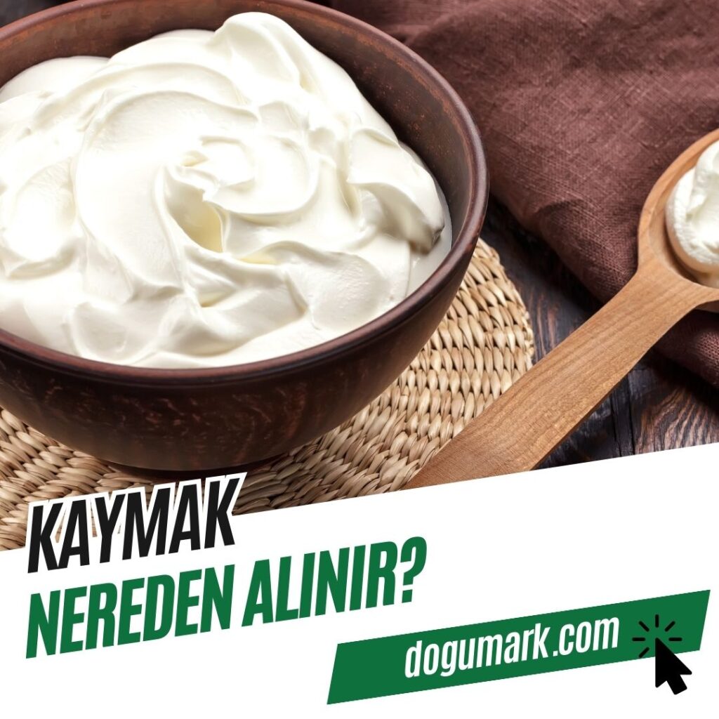 Kaymak Nereden Alınır