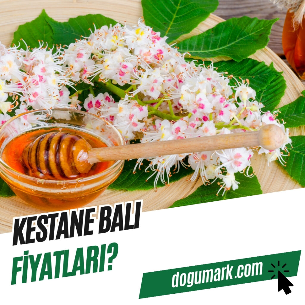 Kestane Balı Fiyatları