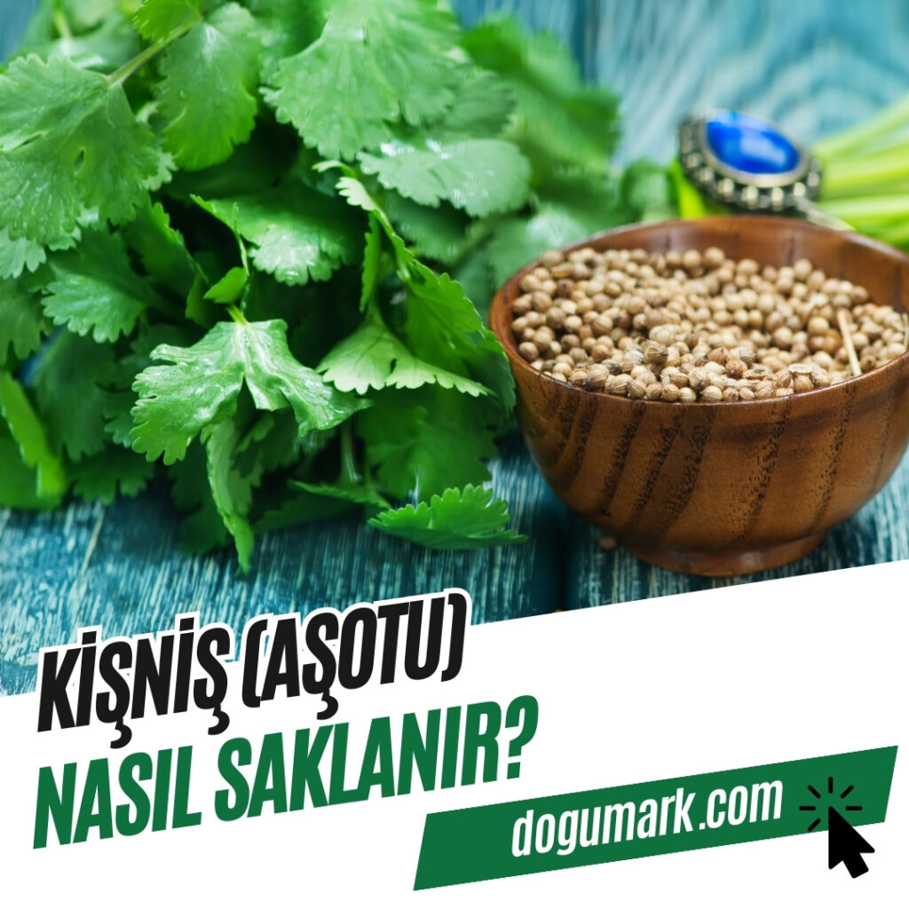 Kişniş (Aşotu) Nasıl Saklanır
