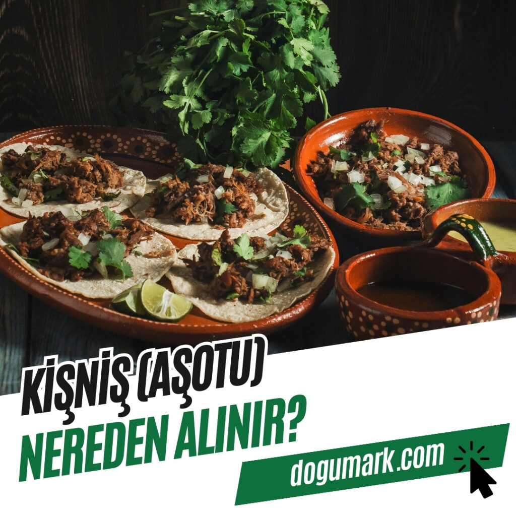 Kişniş (Aşotu) Nereden Alınır