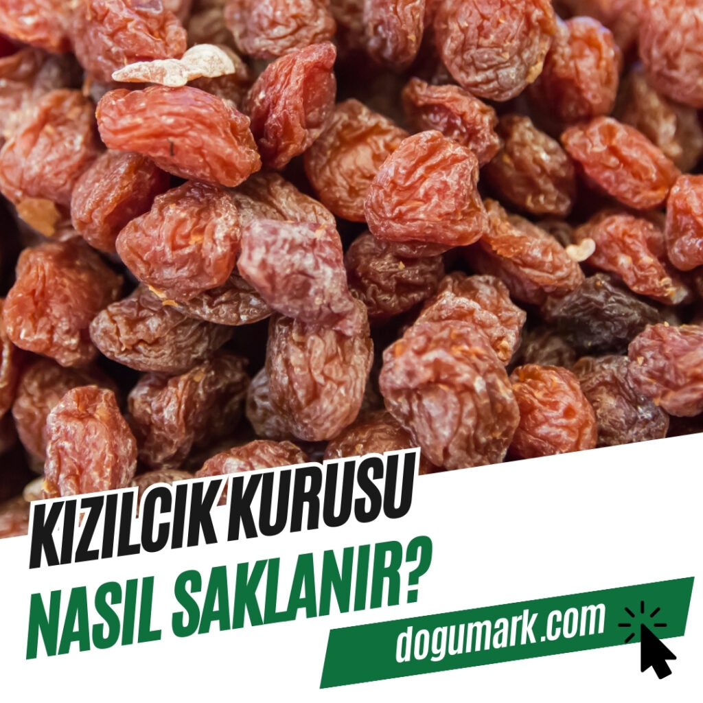 Kızılcık Kurusu Nasıl Saklanır