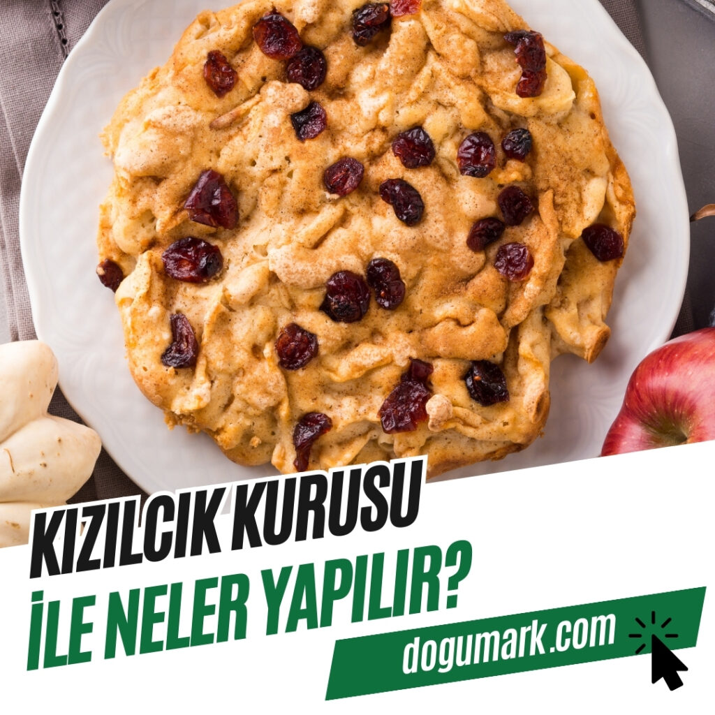 Kızılcık Kurusu ile Neler Yapılır