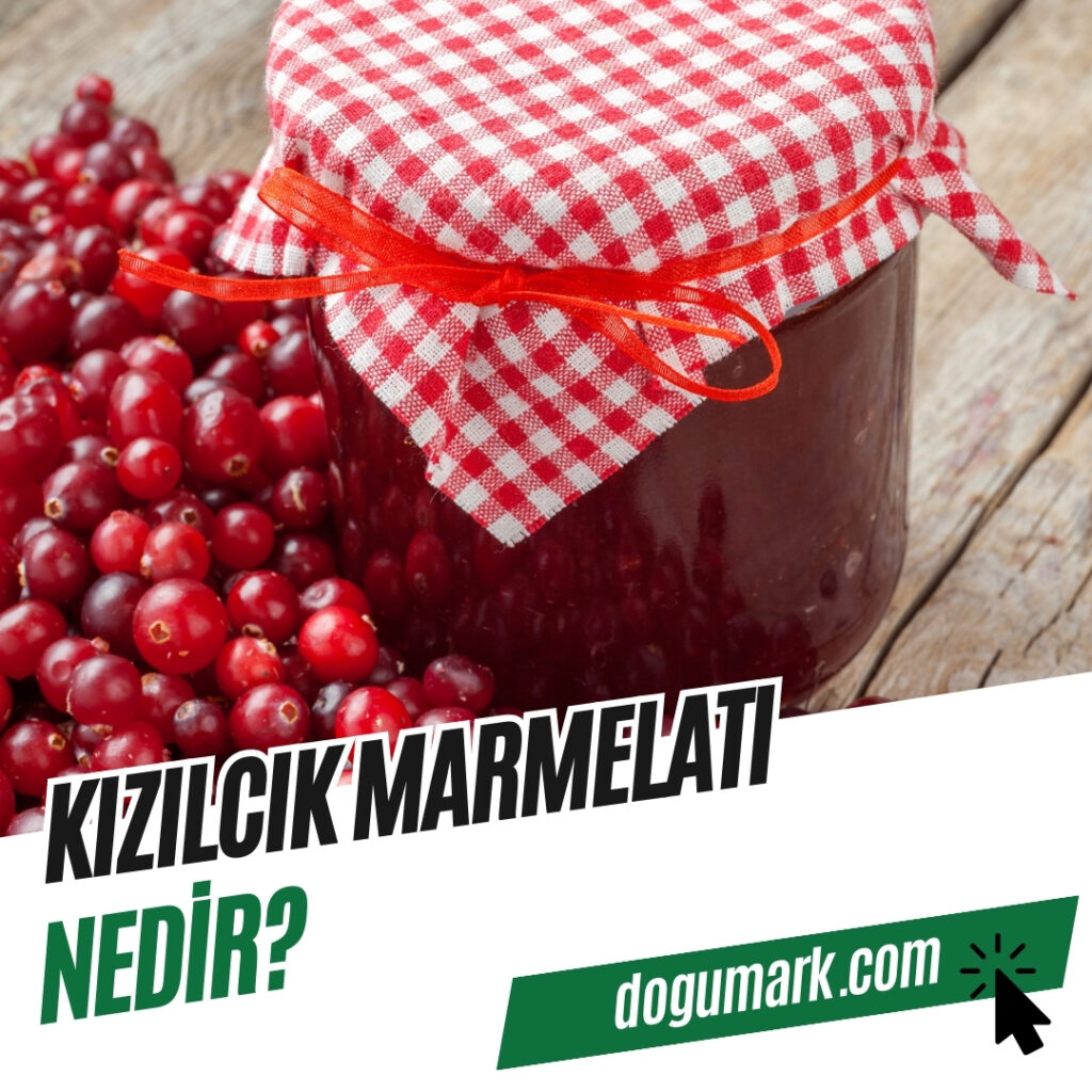 Kızılcık Marmelatı Nedir