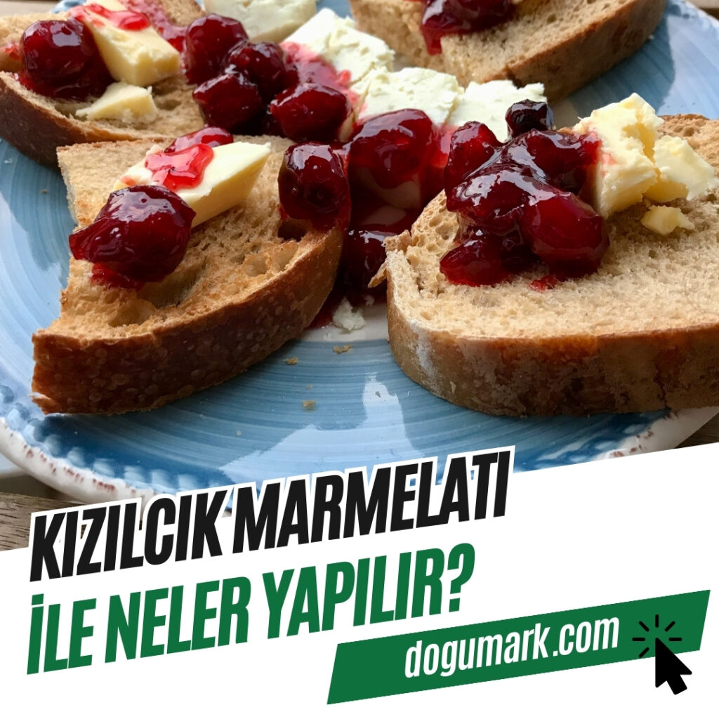 Kızılcık Marmelatı ile Neler Yapılır