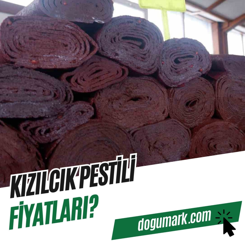 Kızılcık Pestili Fiyatları