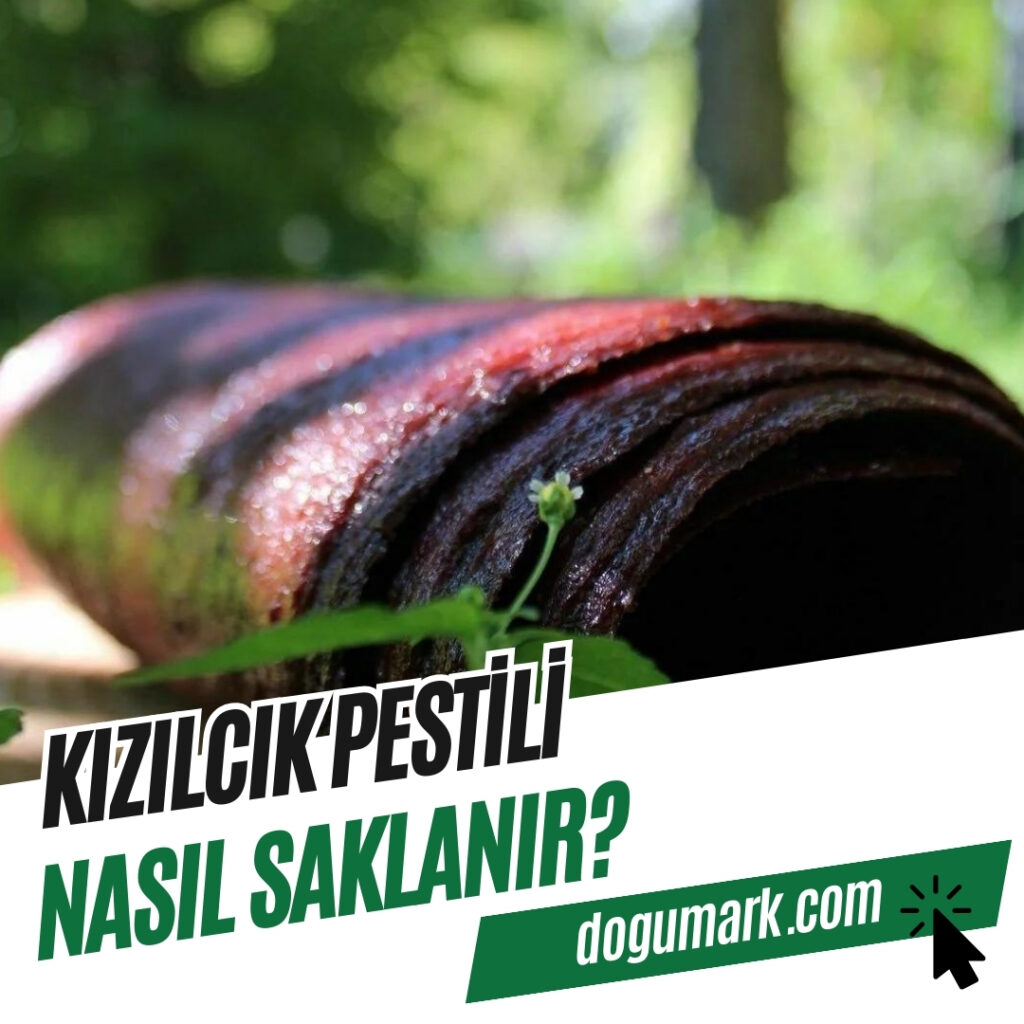 Kızılcık Pestili Nasıl Saklanır