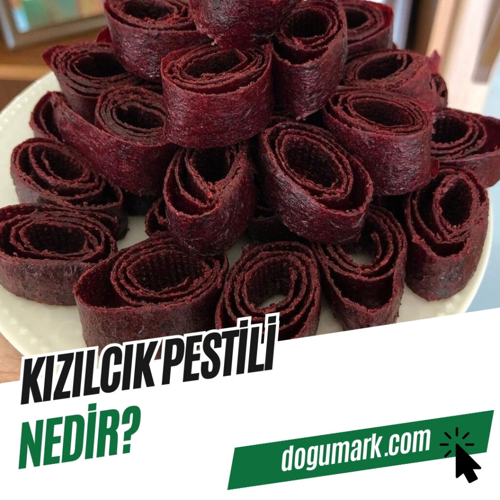 Kızılcık Pestili Nedir