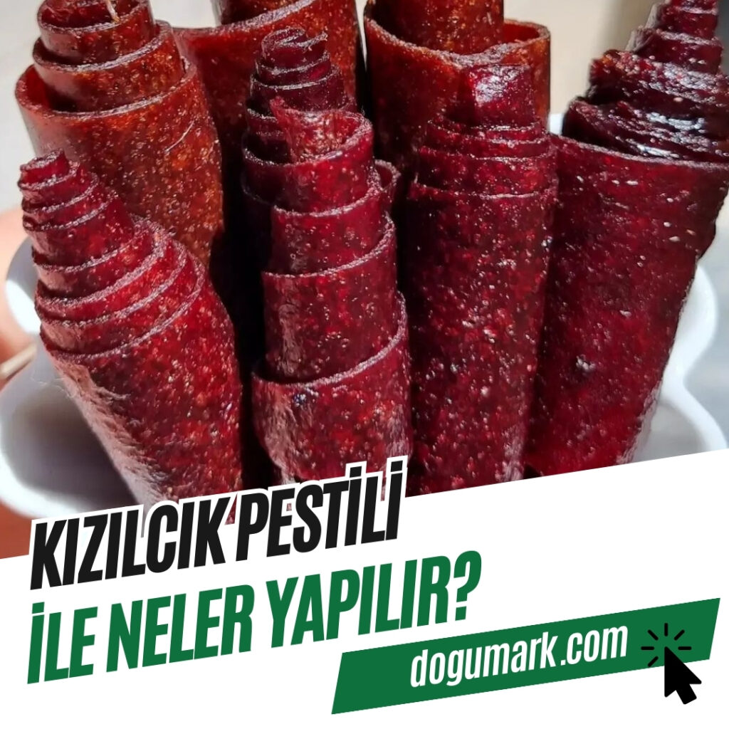 Kızılcık Pestili ile Neler Yapılır