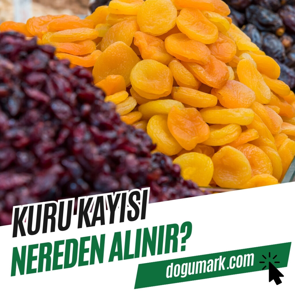 Kuru Kayısı Nereden Alınır