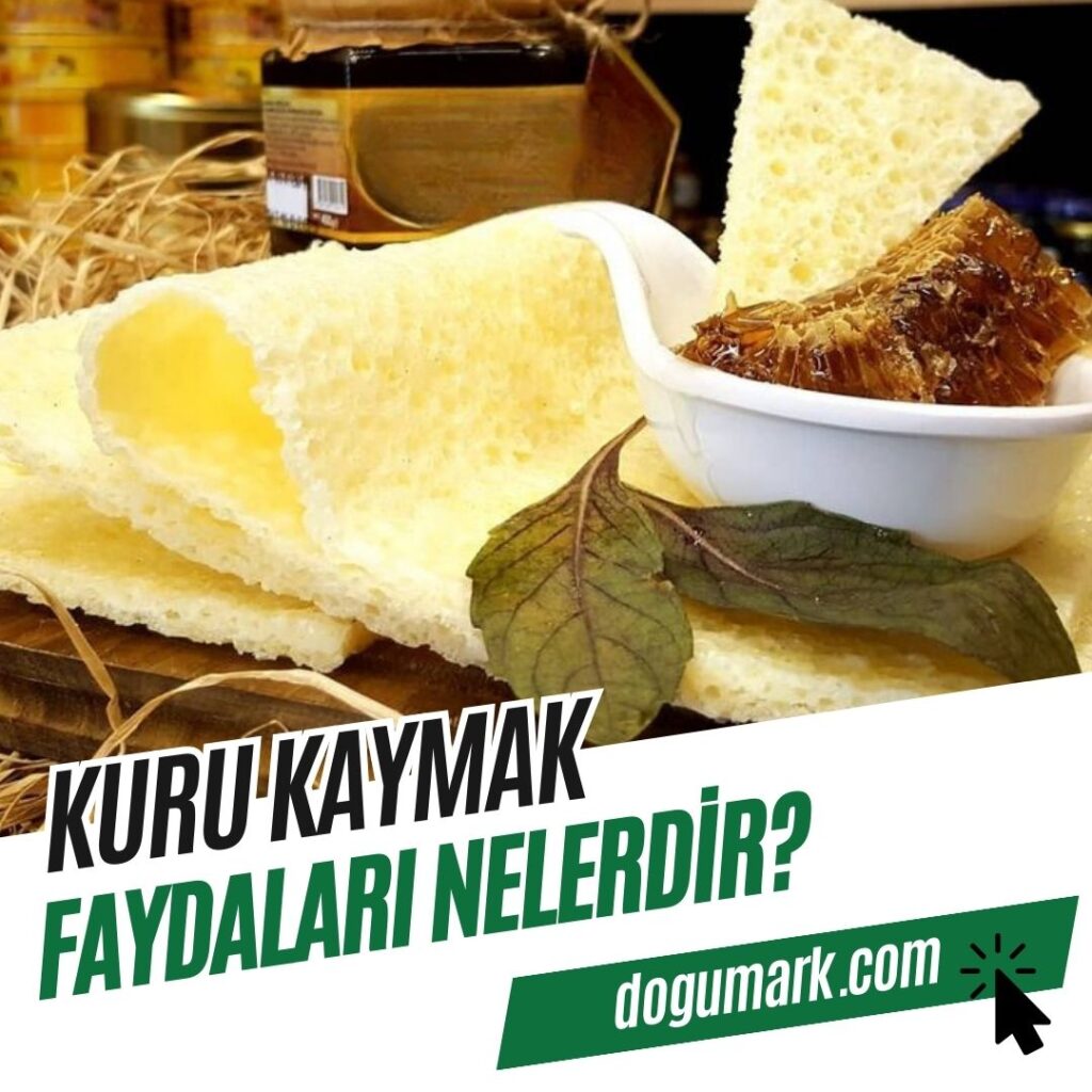 Kuru Kaymak Faydaları Nelerdir