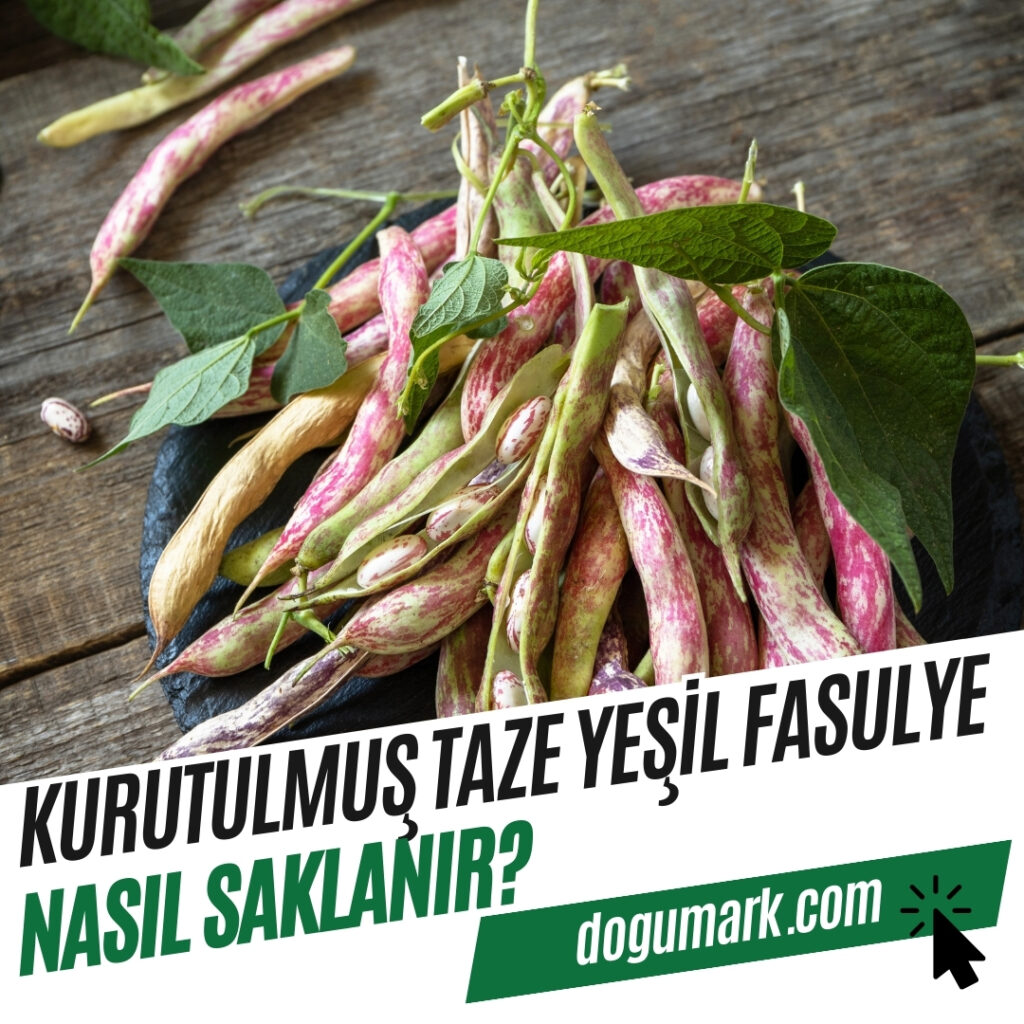 Kurutulmuş Taze Yeşil Fasulye Nasıl Saklanır