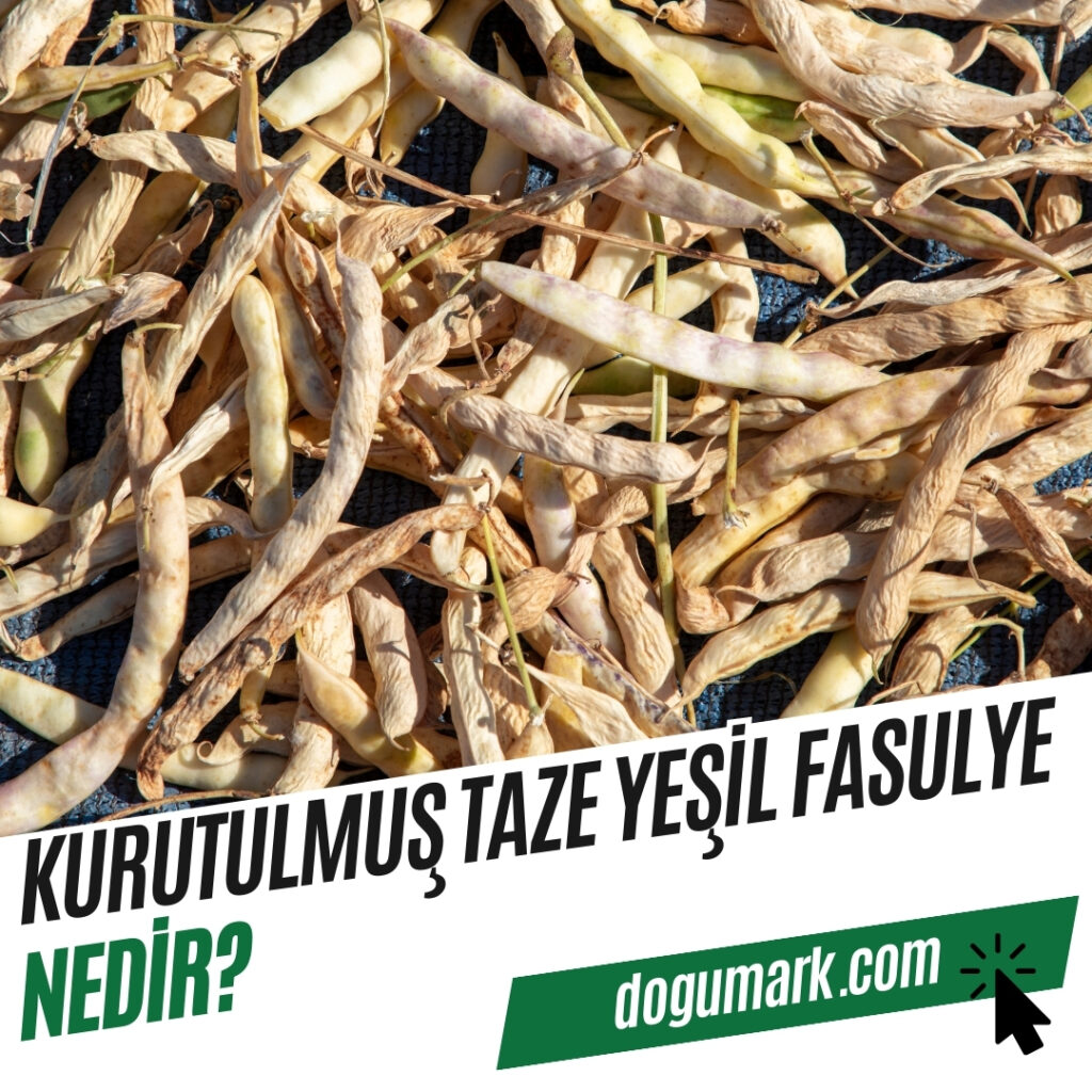 Kurutulmuş Taze Yeşil Fasulye Nedir