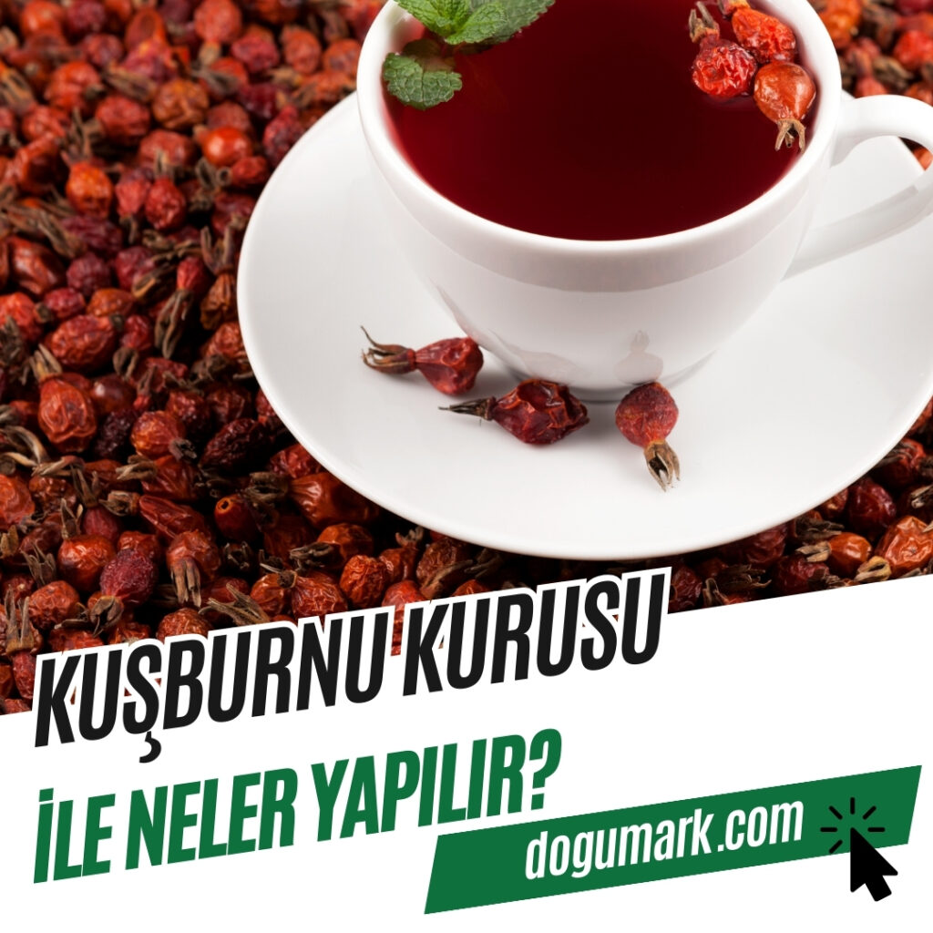 Kuşburnu Kurusu ile Neler Yapılır