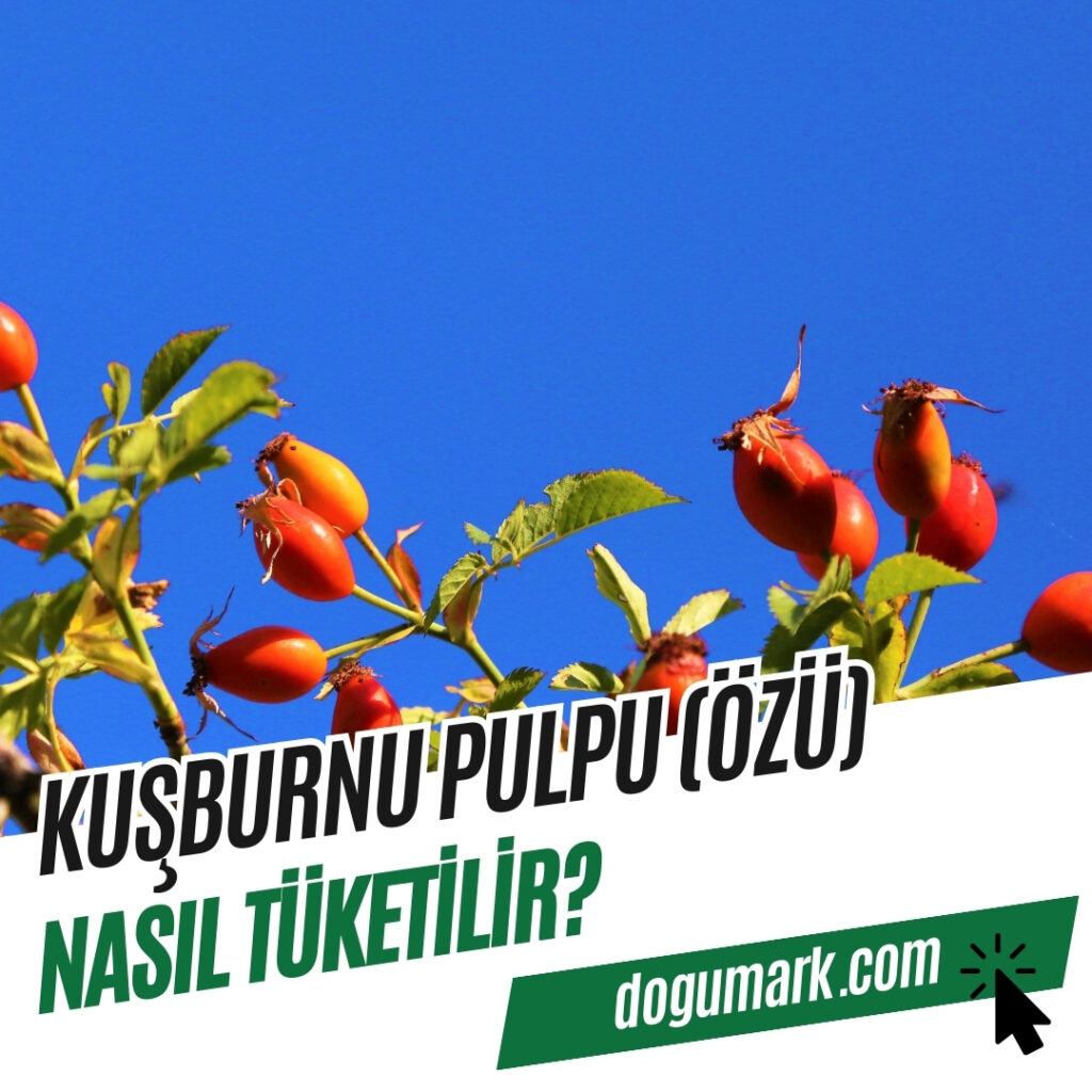 Kuşburnu Pulpu (Özü) Nasıl Tüketilir