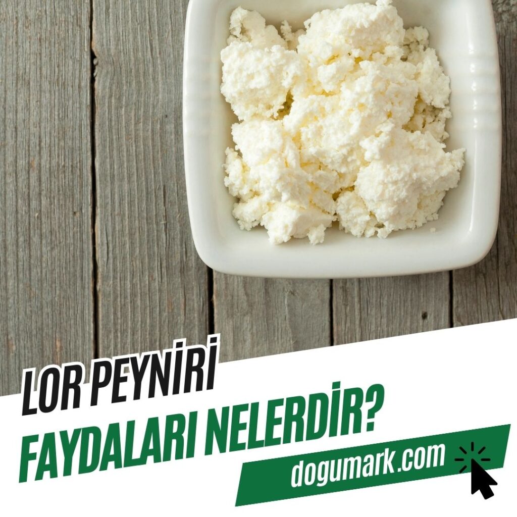Lor Peyniri Faydaları Nelerdir