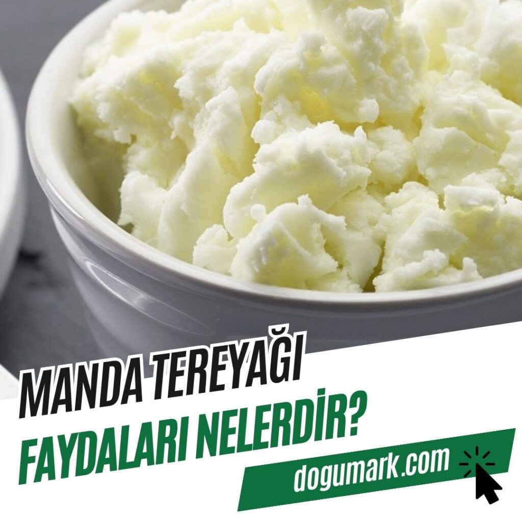Manda Tereyağı Faydaları Nelerdir