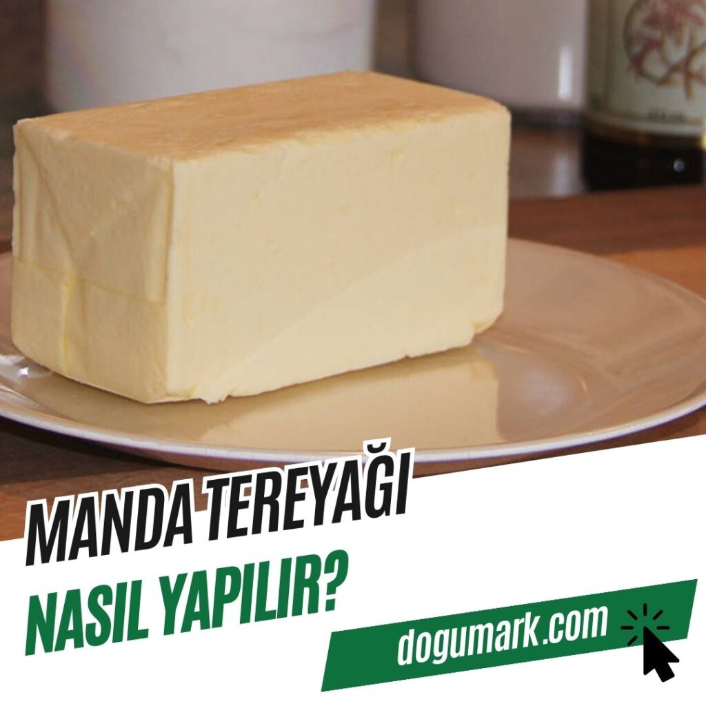 Manda Tereyağı Nasıl Yapılır