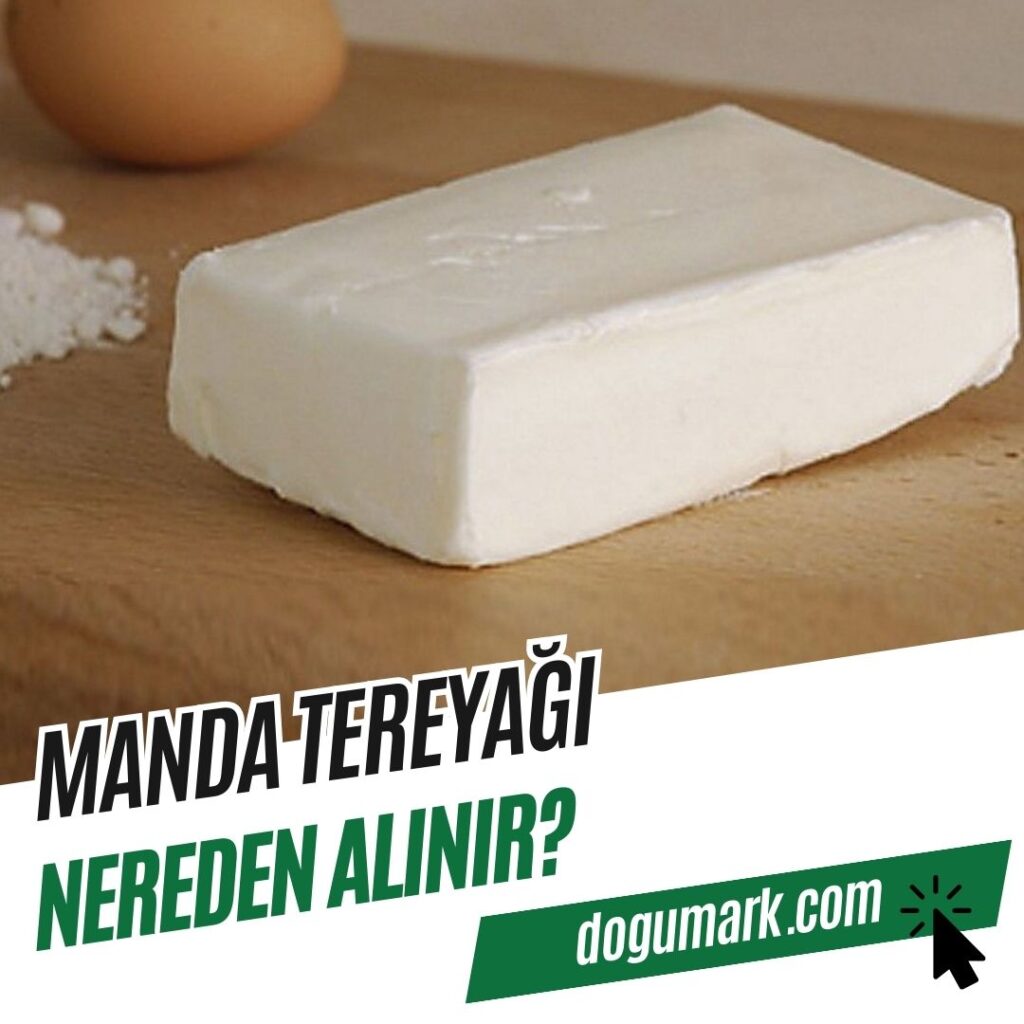 Manda Tereyağı Nereden Alınır