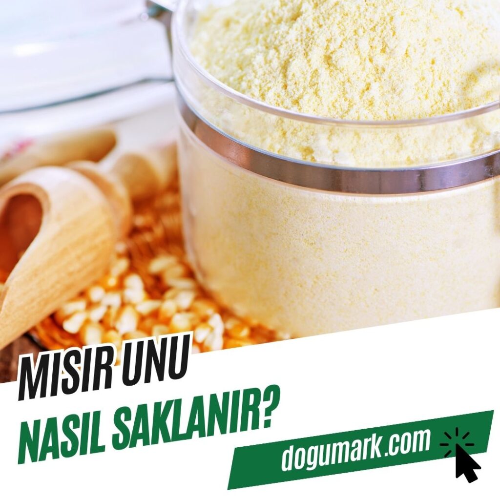 Mısır Unu Nasıl Saklanır