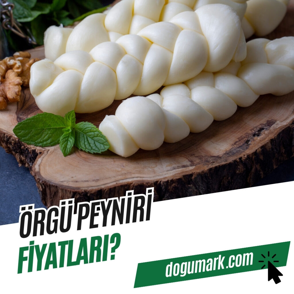 Örgü Peyniri Fiyatları