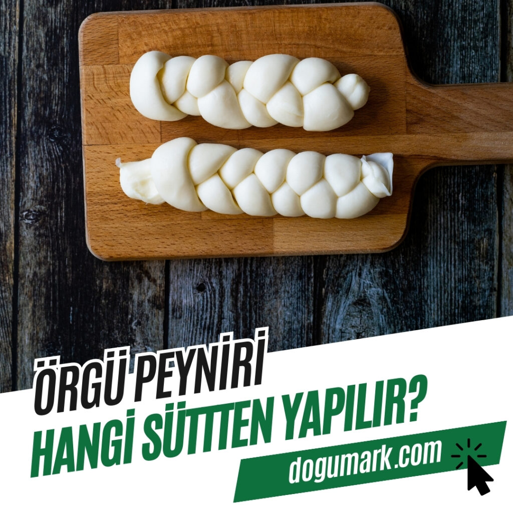Örgü Peyniri Hangi Sütten Yapılır
