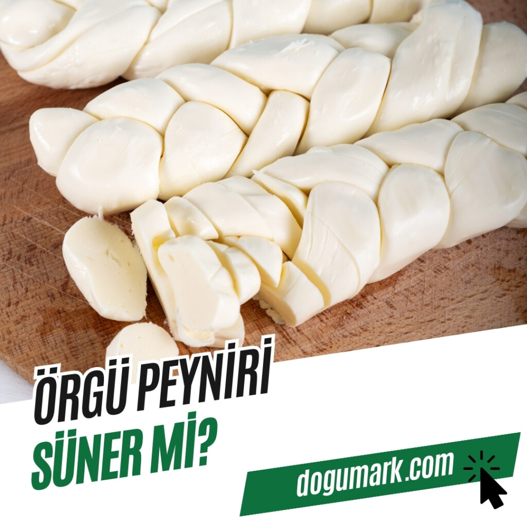Örgü Peyniri Süner mi