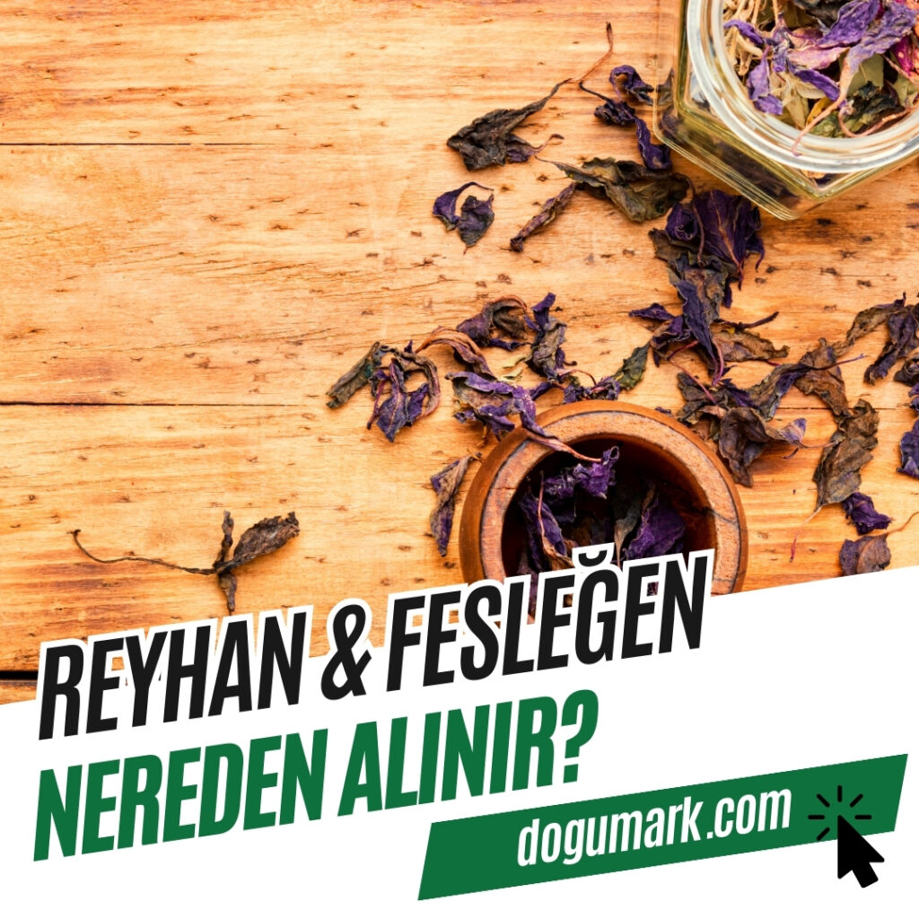 Reyhan - Fesleğen Nereden Alınır