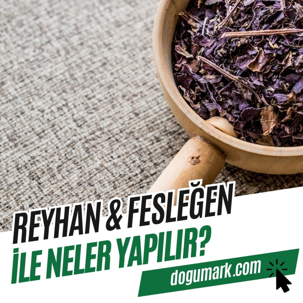 Reyhan - Fesleğen ile Neler Yapılır