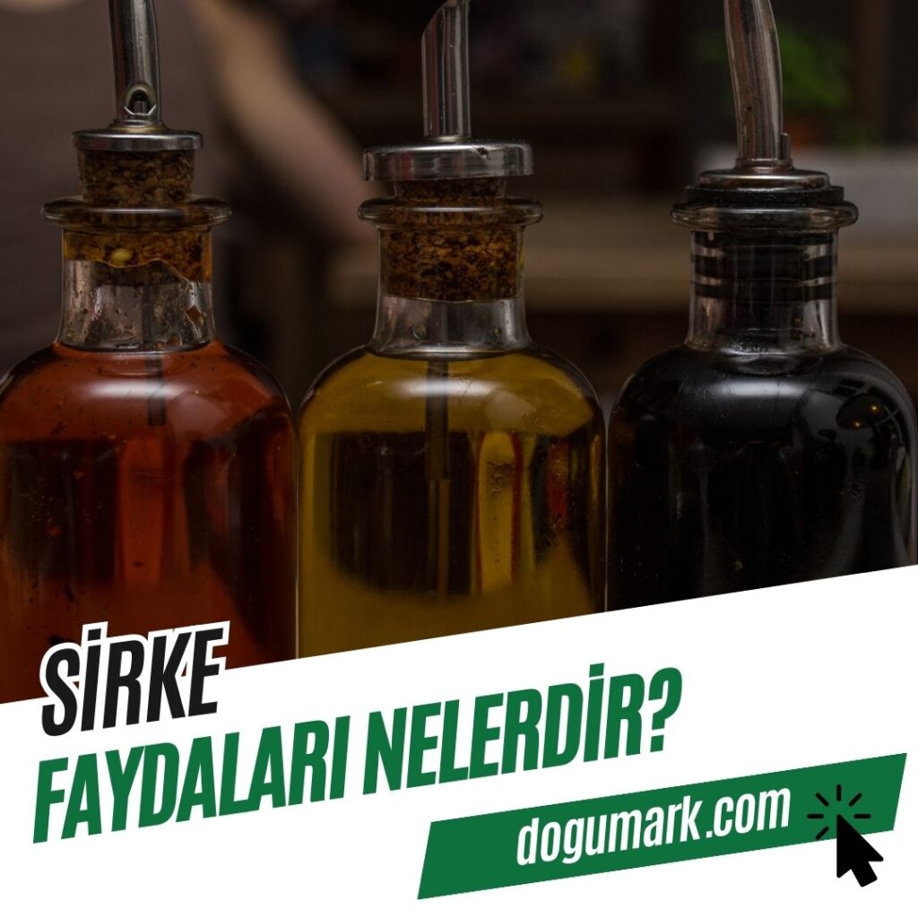 Sirke Faydaları Nelerdir