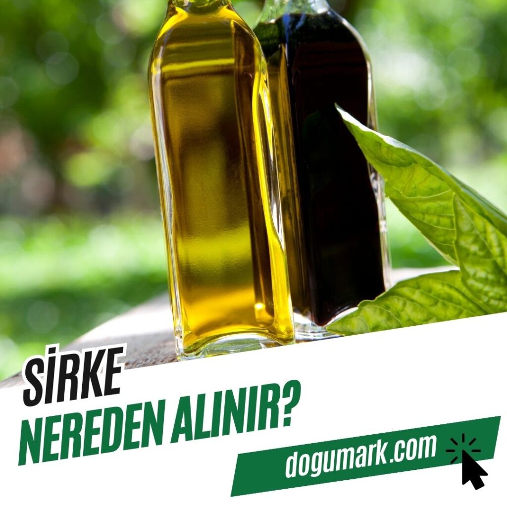 Sirke Nereden Alınır