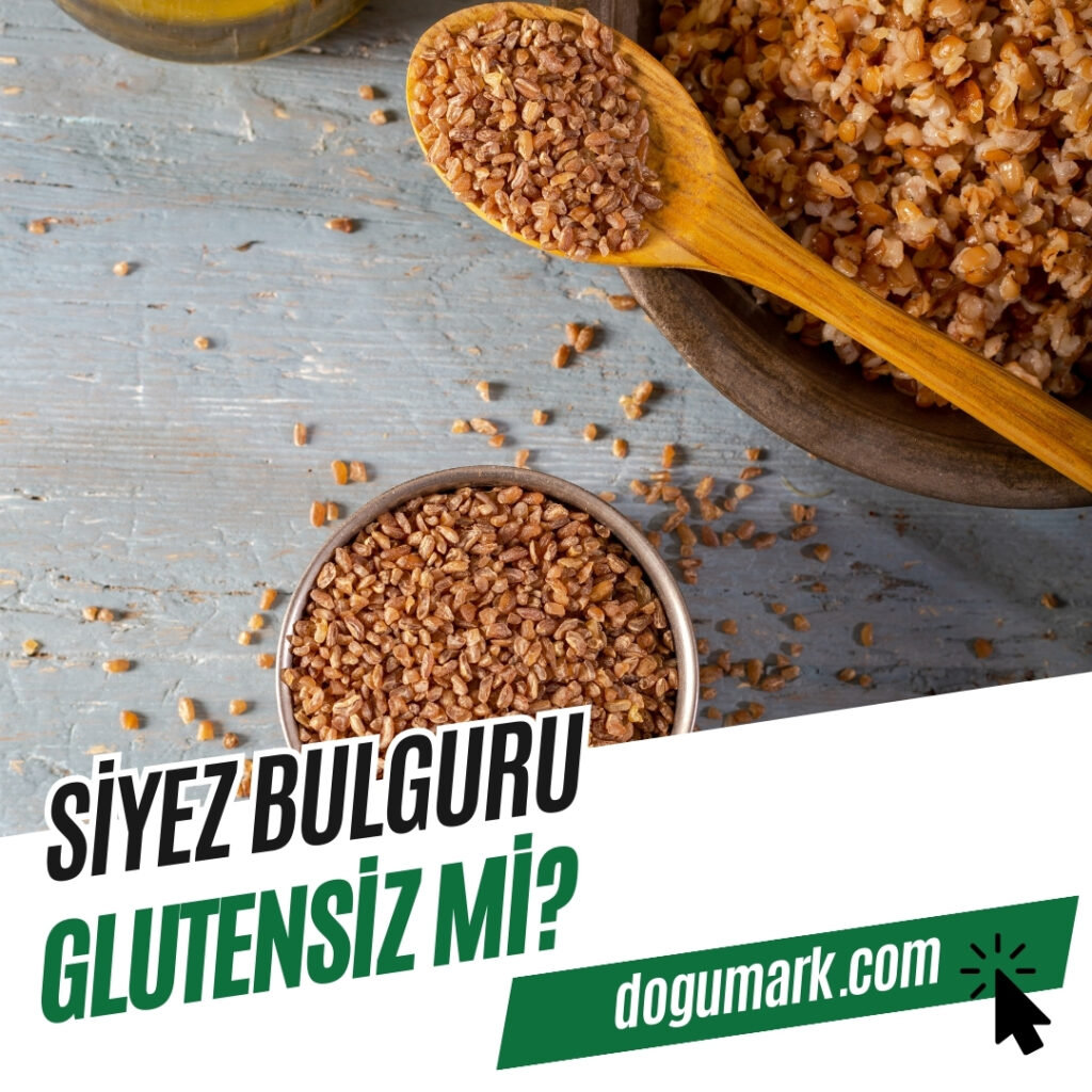 Siyez Bulguru Glutensiz mi