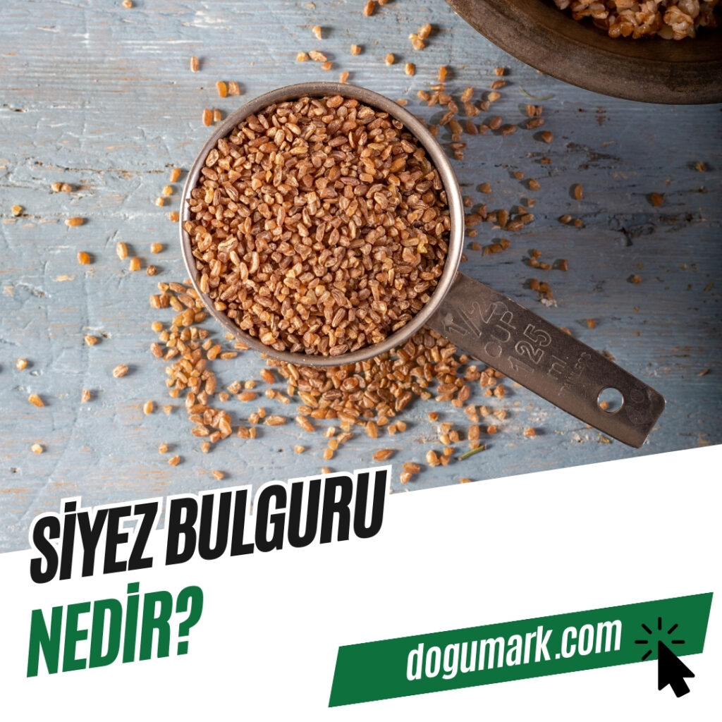 Siyez Bulguru Nedir