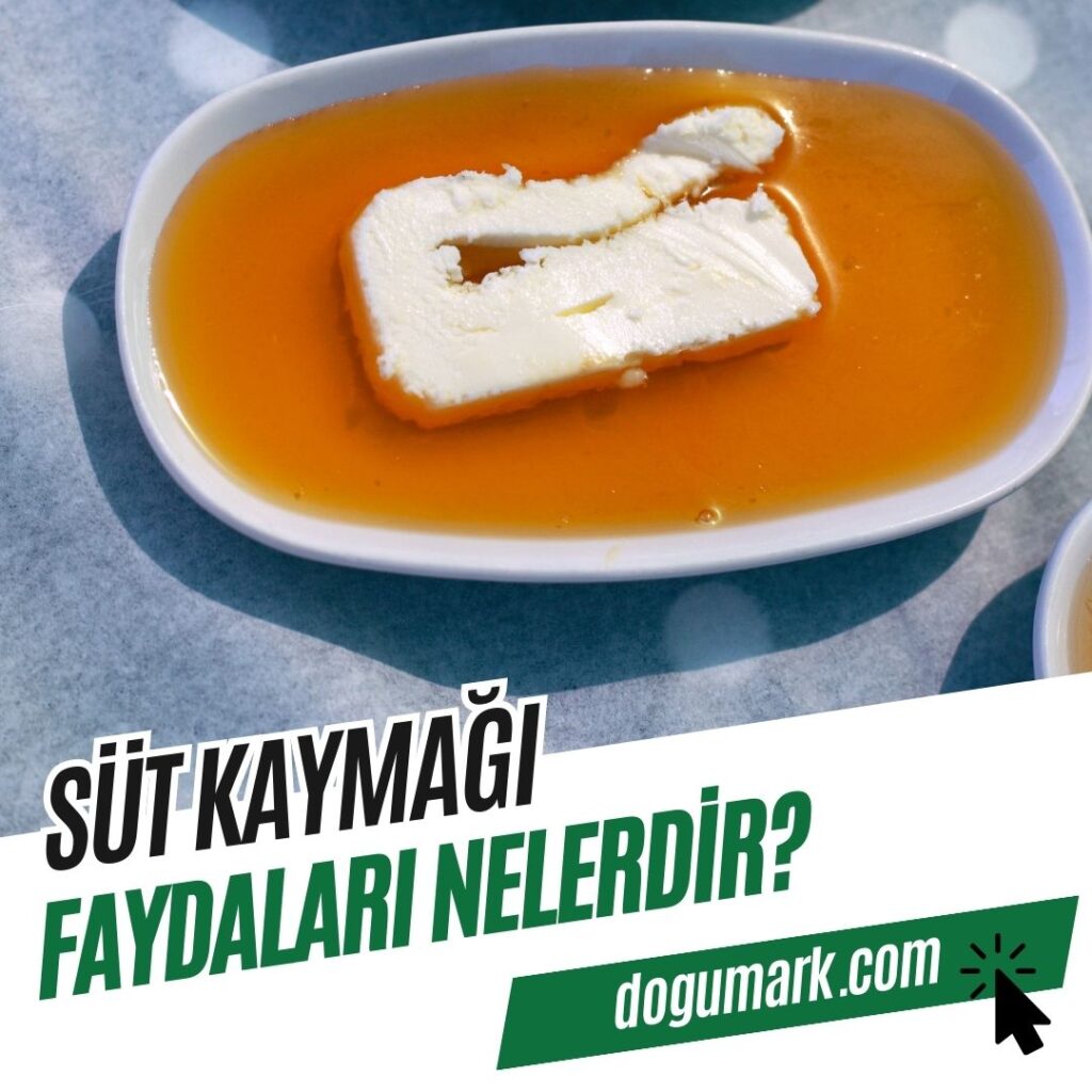 Süt Kaymağı Faydaları Nelerdir