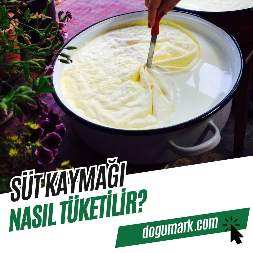 Süt Kaymağı Nasıl Tüketilir