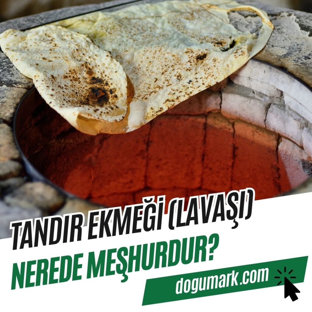 Tandır Ekmeği (Lavaşı) Nerede Meşhurdur