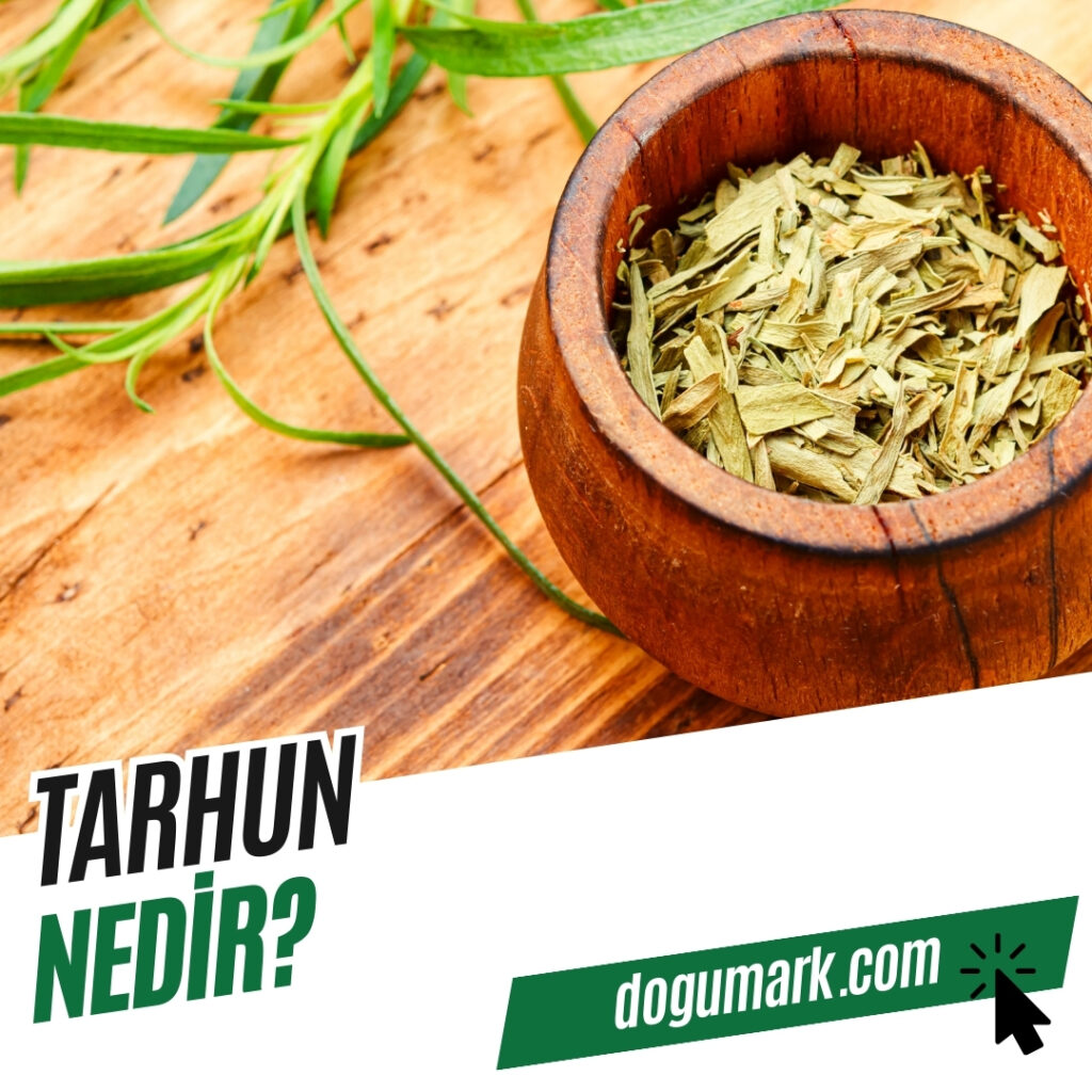 Tarhun Nedir