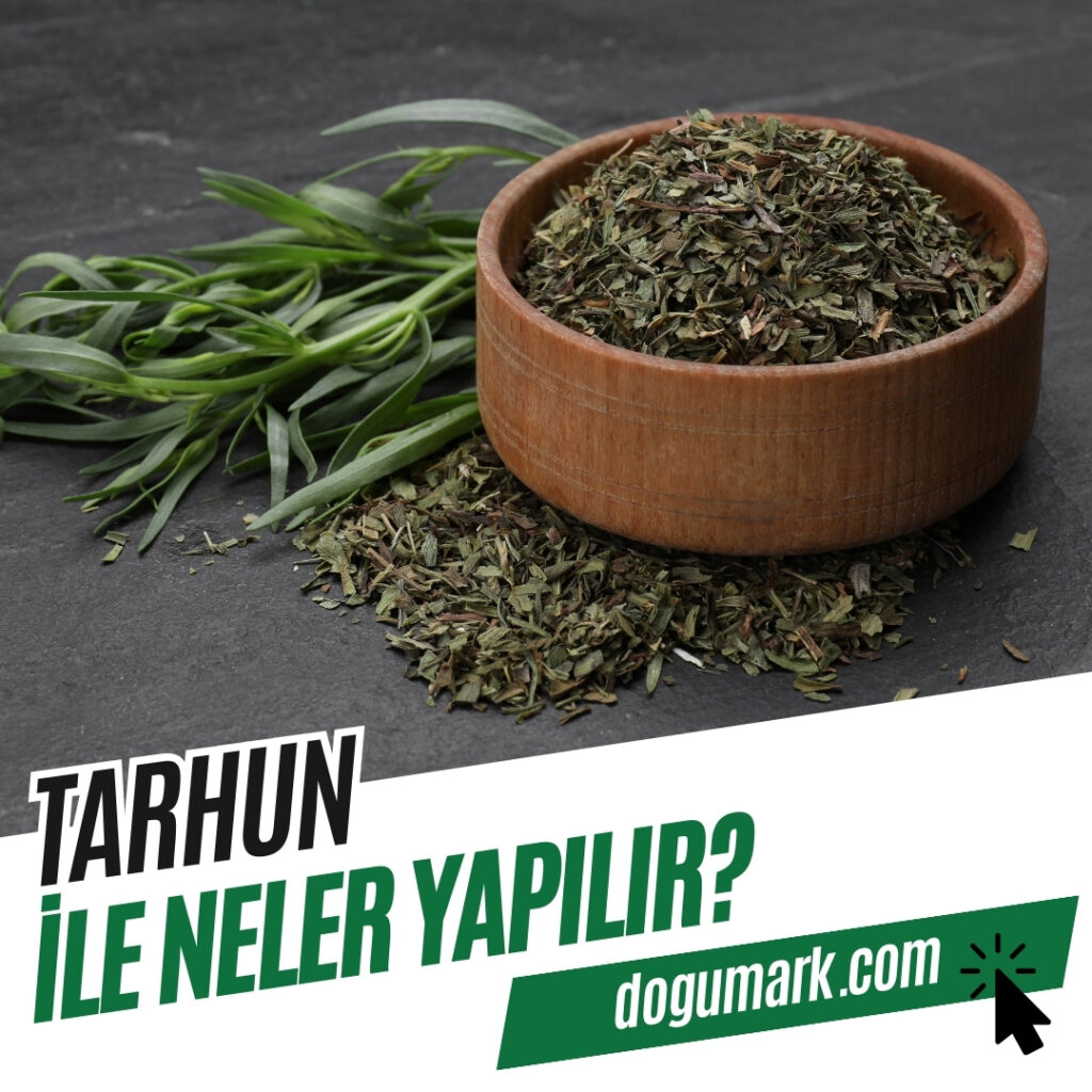 Tarhun ile Neler Yapılır