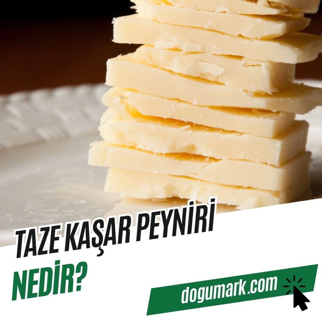 Taze Kaşar Peyniri Nedir